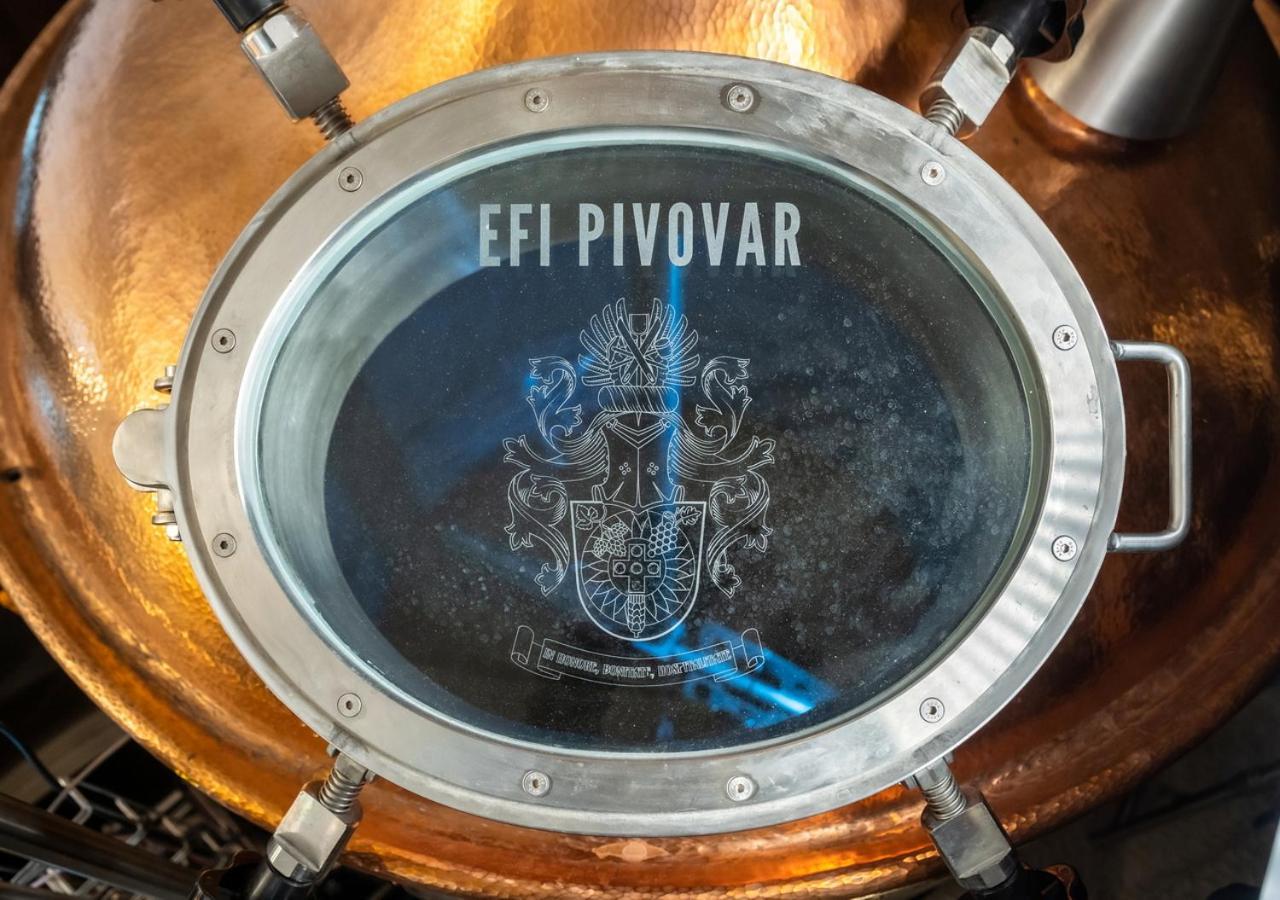 Efi Spa Hotel Superior & Pivovar ブルノ エクステリア 写真